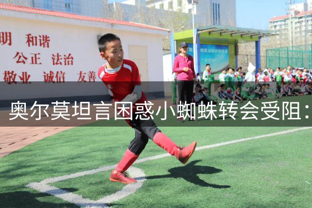 奥尔莫坦言困惑小蜘蛛转会受阻：追梦者不该遭此对待